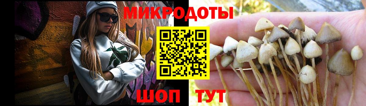 Псилоцибиновые грибы мицелий Асино